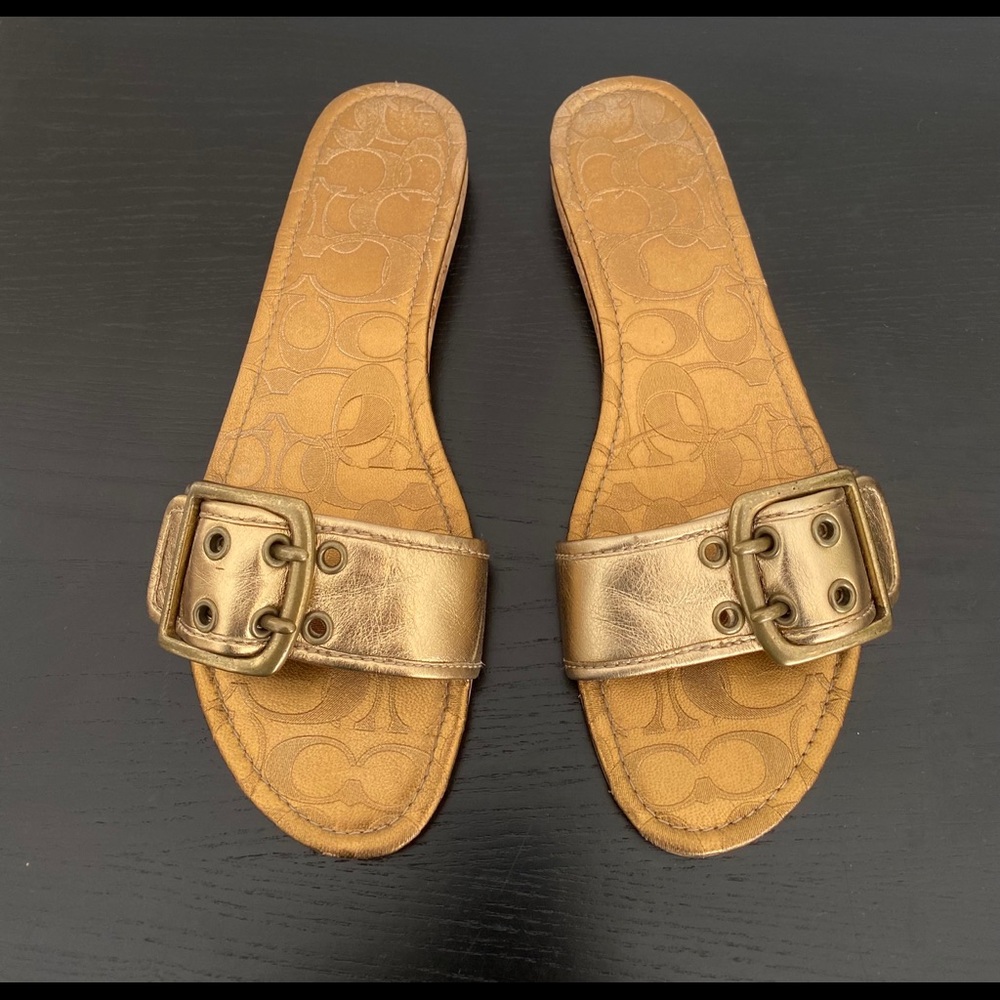 Coach Buckled Slides